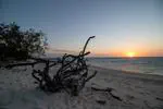 Diving the Lady Musgrave Island (Wallaginji)