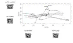 Phylomorphospace plot with relative values